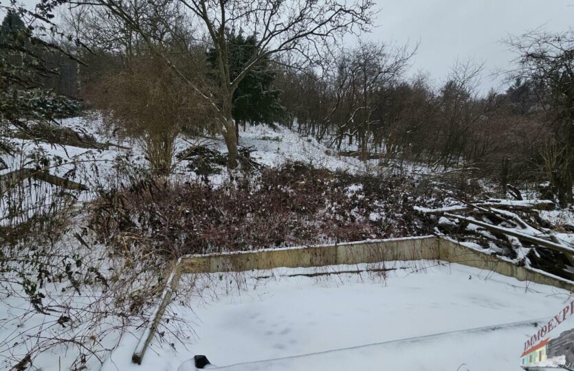 20260113_102924_resized