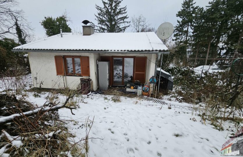 20260113_102931_resized