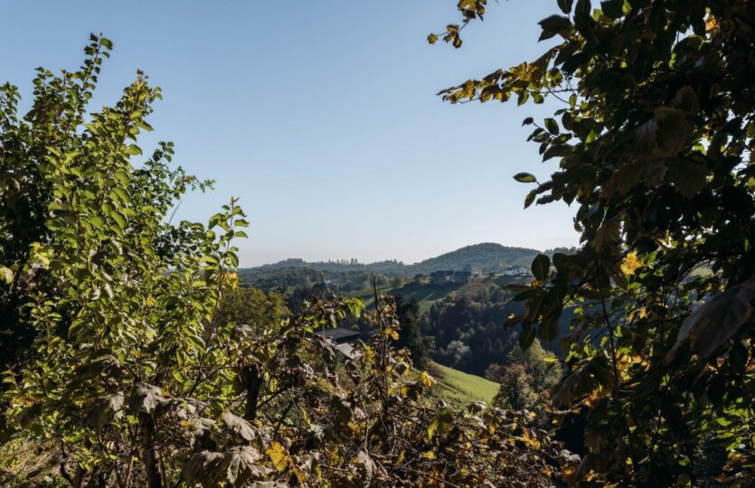 Passegger Haus Kranach 10 2025-42_resized