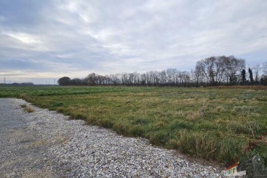 WhatsApp Image 2025-11-16 at 13.45.53 (1)