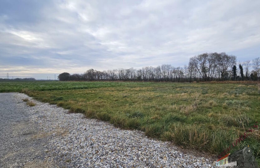 WhatsApp Image 2025-11-16 at 13.45.53 (1)