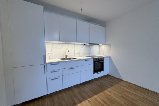 2833iuQ3IVvsDst9OoV7eJ