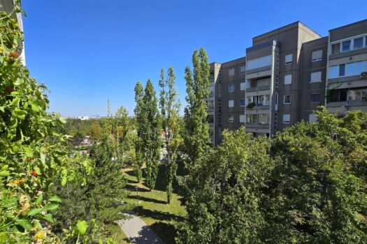 29qk9f5ivBZXsX6dndPThh