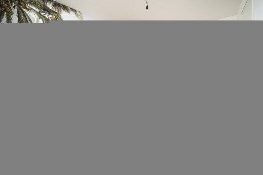 2B1Jefw5t2Yi3DJ8xbAjAp 2