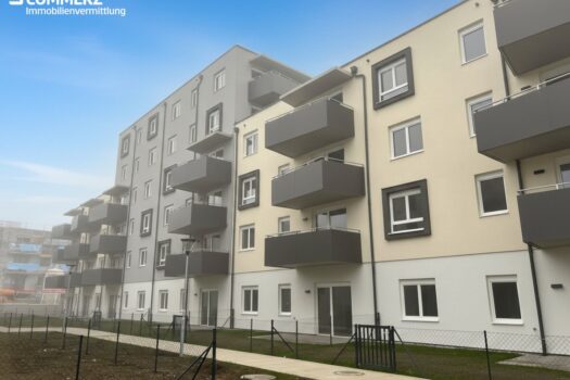 2K5NdVPdBNI6ByHOpwvYA5