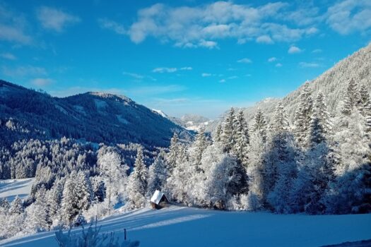 2Kdguaj2z3dMFk09dkb7Q3