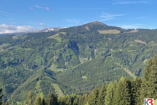 2LU0hcpPHC1uw1XsRvyhzR