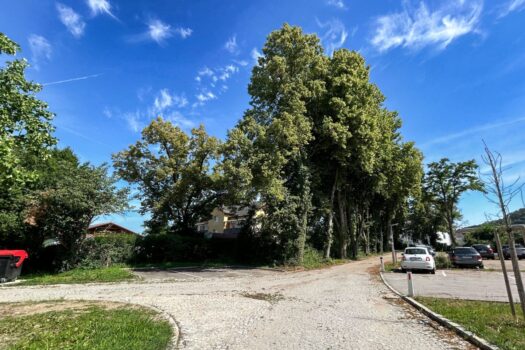 2MqNv3RkGx83B6VKckTi3n