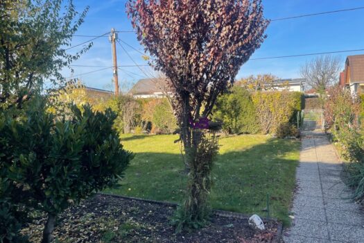 2VhhcJUZlNjT4tZa6YPjUo