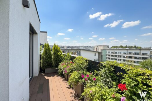 2Zpd6DGYAapj5uk9R9YEdv