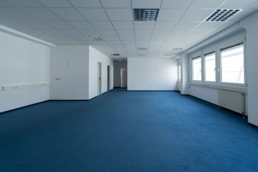 2Zw9fFR3SXyWEZjx9DMCtY