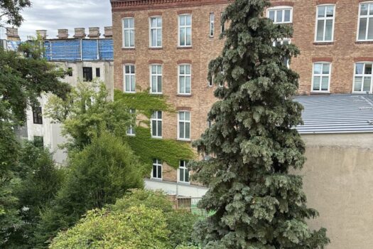 BASTLERHIT - 1-Zimmer Altbauwohnung zum Sanieren - 2. Liftstock 2ay5TMGyryOC27k0h9JKyX