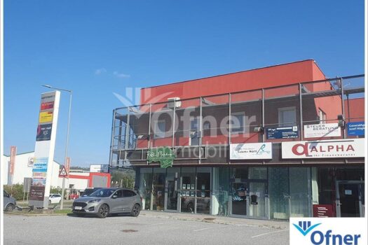 33nRbS5dFTIUnk5mblS3w6