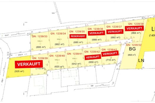 34jIn1VQW8dUmnzckgLwmF