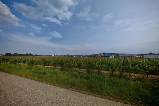 3ABLactrzFL3uYLsp7qs4p