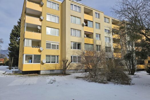 3C6nZk4uwZC2ve1Ca5SHt2