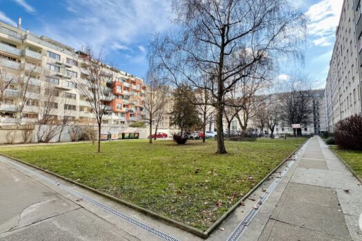 3DHlFgBdzuyUaC5SRLbuJv