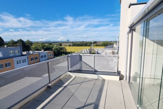 3FYUIR9OpLNs2sLSqDZpeI