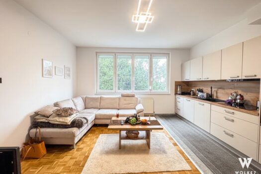 3TGzwQSUkPHsOpOdoNY1vU