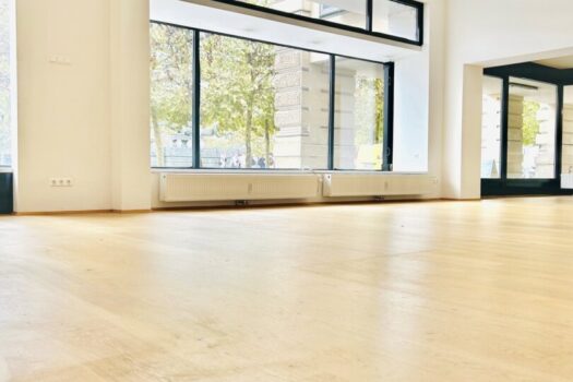 3aeNE5gT2u5NrWzSaQEdyS