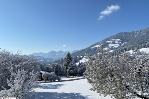 3bPzLeqHJib84LWAqDWZzE