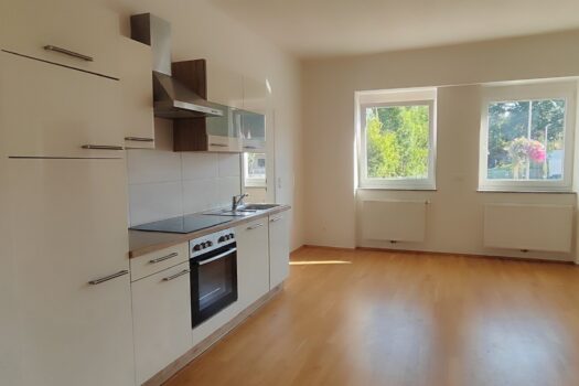 3mgTnO70t4btlXDtZuCikb