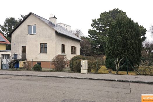 Hausansicht mit Garage