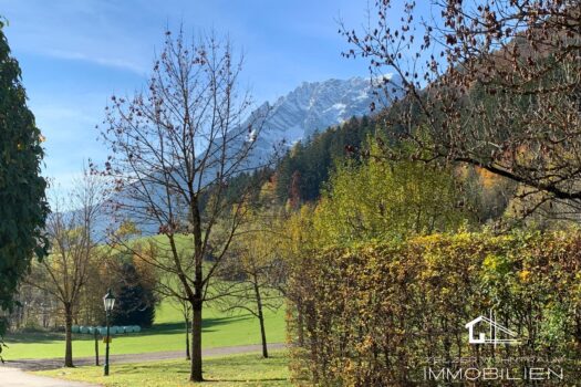 3seMZD7zOGHcRLmOlBxQ3M