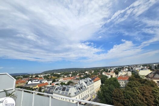 Wohnung - NESTOR Immobilien