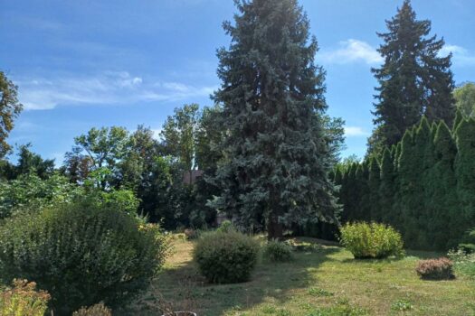 455q0zn0CiGLL7qQkmO3mA