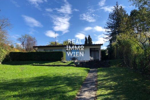 48lslJCgA0V0dkmGON6Nxm 1