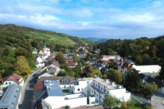 WOHNEN AM TOR ZUR NATUR – UND DOCH GANZ NAH AN WIEN - EXKLUSIVES TOWNHAUS AUF EIGENGRUND IN WEIDLING 4DnHY1neWx27Q5SY39F6Qd