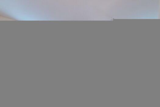 4F5XK5HpGUMDaiFVIRPo8D