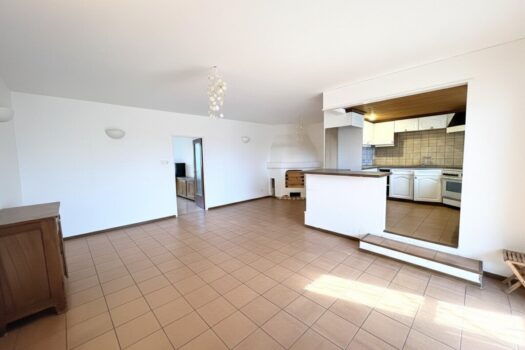 4GullzqO8InpdDTcEC2YCH