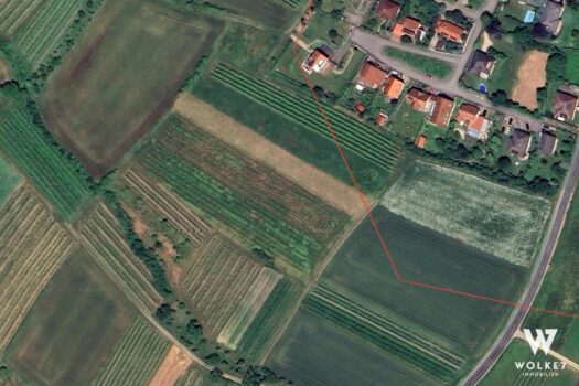 4L8QtGKhIvjoEKzDrhNGnN