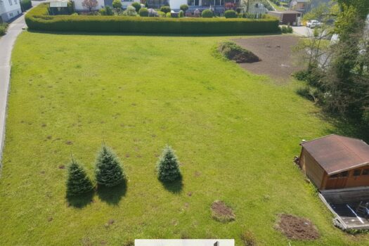 4MT7QXteQjTCFwDJwY5Qye 2