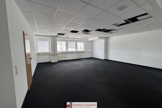 4RV6j9KEHrVkHFSz6h63n9