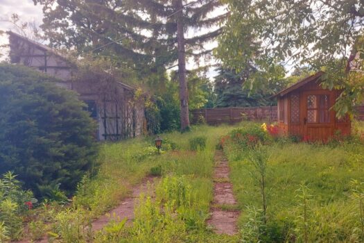 4Ss0Z7CSonb1fCHCmKPpVA