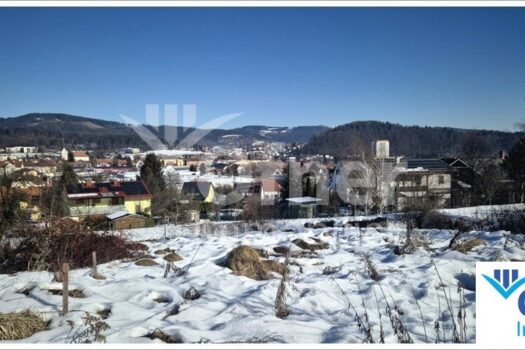 4XeZo8f4YCo151pUy8h2ni