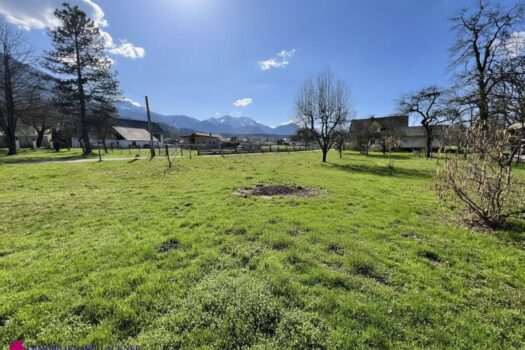 4mc4L8nShVhVppOH6WlaEn