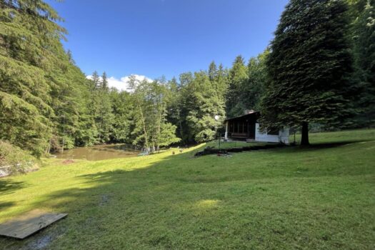 4sMZPLqtAnTYA2ignnEasc 1