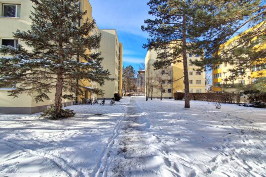 4xq3hRt1OJzjirVj5sM5VM