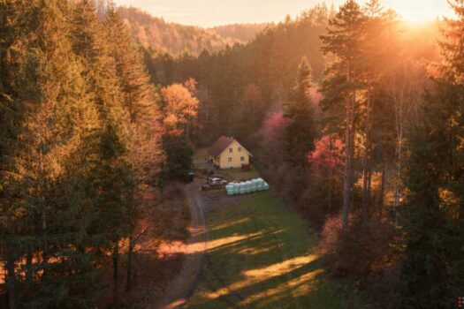 Frontansicht Gebäude