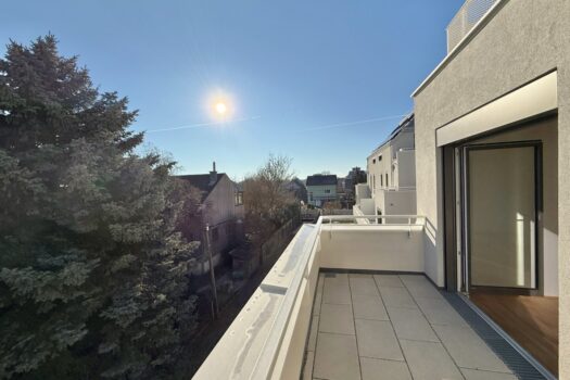 5GHqvtcgp7giGeH7N5TN3y