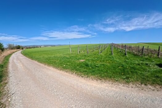 5LRRz5rTCvM9EozkfO34y0