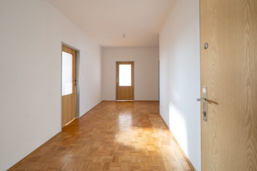 5O5Kwt7eG06xJN371Ae7Xi