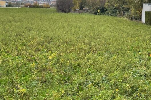 5SDR0kUWWLoF9Rv53oN2vx