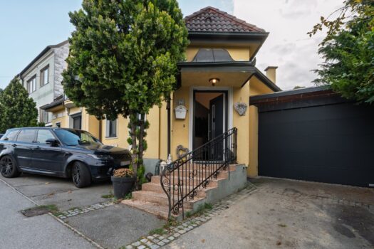 Eingangsbereich und Einfahrt Carport Haus