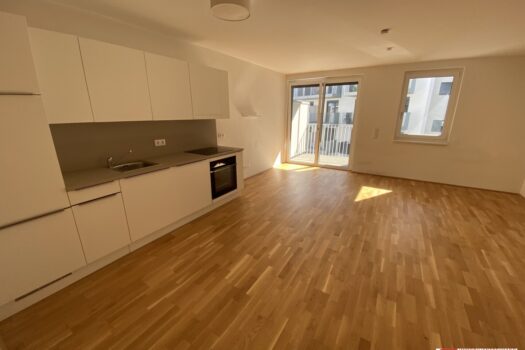 5Y84W5pRjf7jBsrBQSmtuq