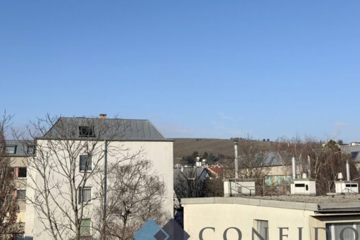 NUSSDORF - Ideal aufgeteilte 2 Zimmerwohnung mit Fernblick in ansprechender Lage! Blick